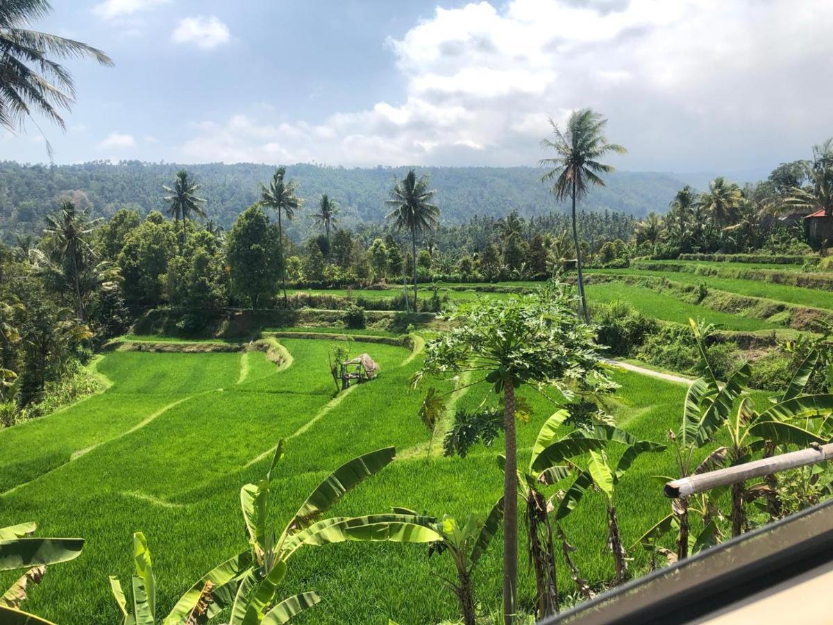 Hotel Tegal Sari, Pemuteran- North Bali Esterno foto