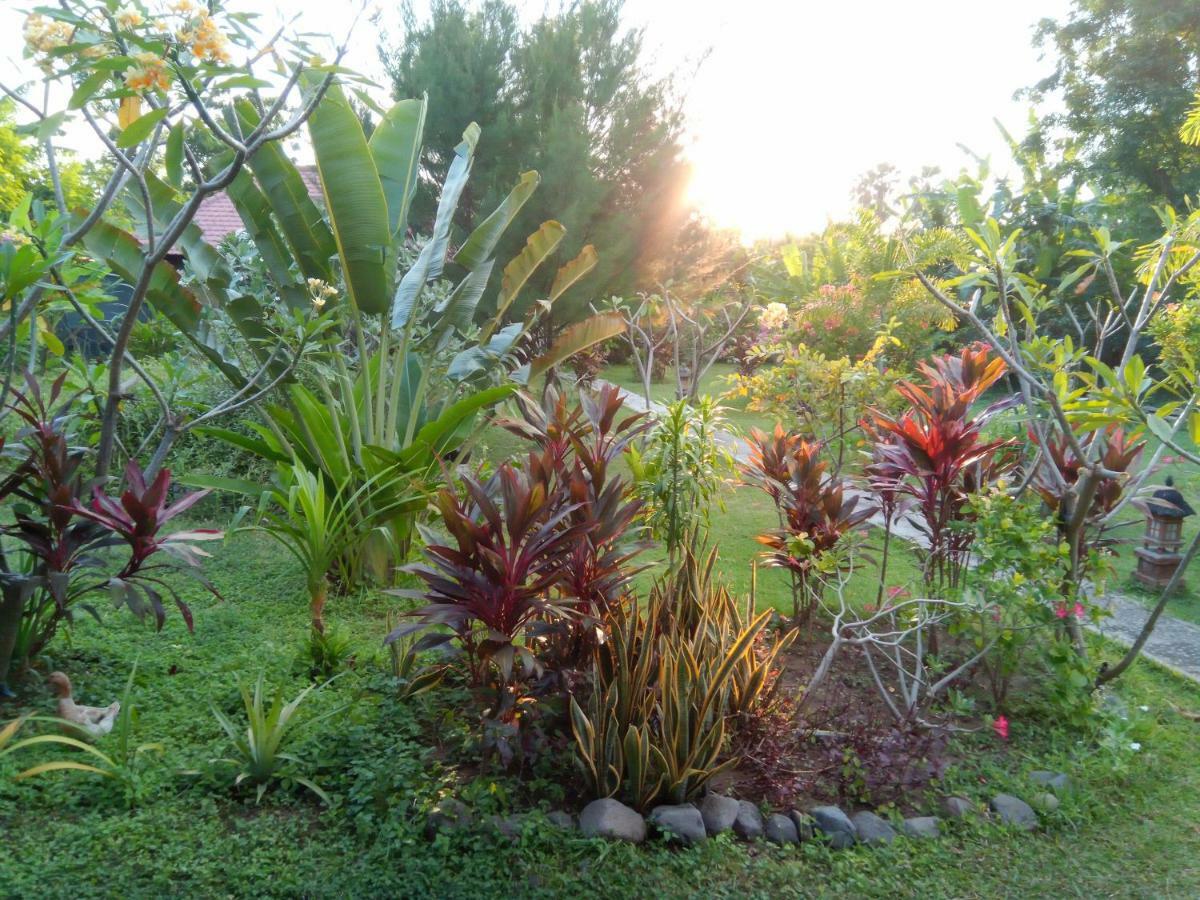 Hotel Tegal Sari, Pemuteran- North Bali Esterno foto