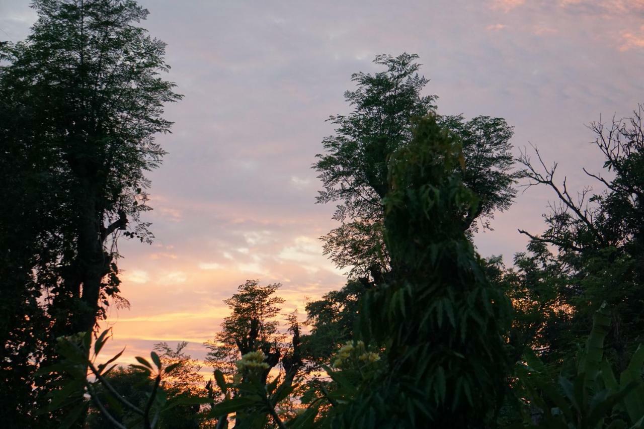 Hotel Tegal Sari, Pemuteran- North Bali Esterno foto