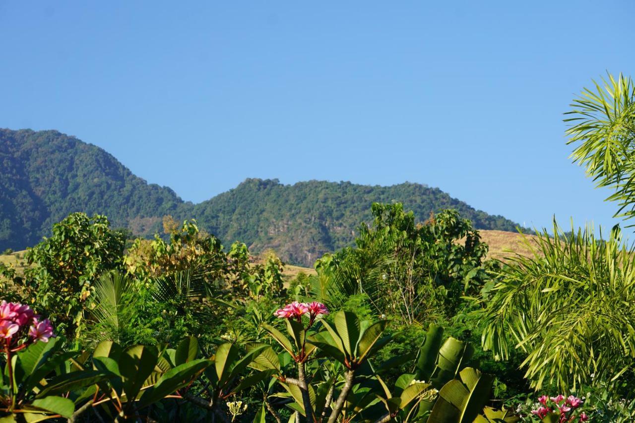 Hotel Tegal Sari, Pemuteran- North Bali Esterno foto