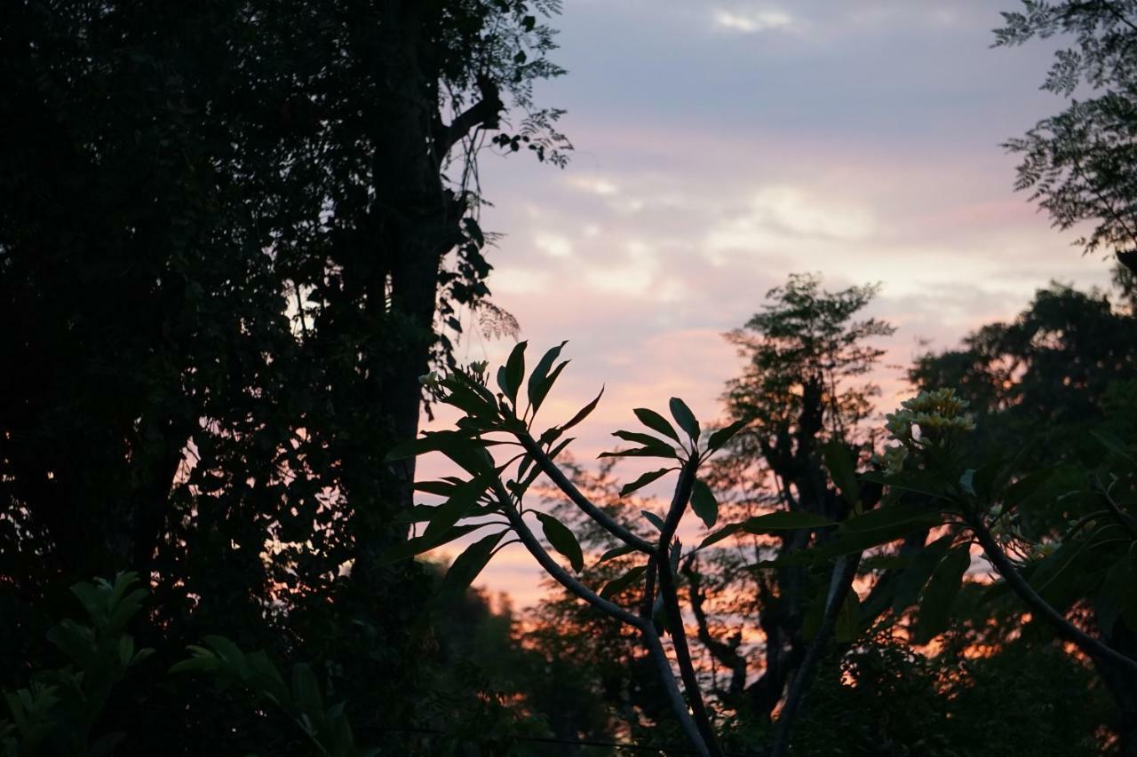 Hotel Tegal Sari, Pemuteran- North Bali Esterno foto